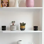 Apartment Cosy